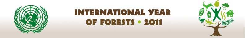 Az ENSZ Erdők Nemzetközi Éve program honlapja