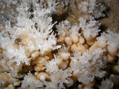 Kalcit kristály az Esztramosi Rákóczi-barlangban - Aggteleki
Nemzeti Park -Esztramos (Bódvarákó-Tornaszentandrás)
