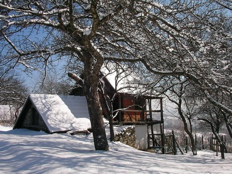 Téli kép Jósvafő egyik legrégebbi présházáról a Szőlő-hegyen - Jósvaf - Aggteleki Nemzeti Park