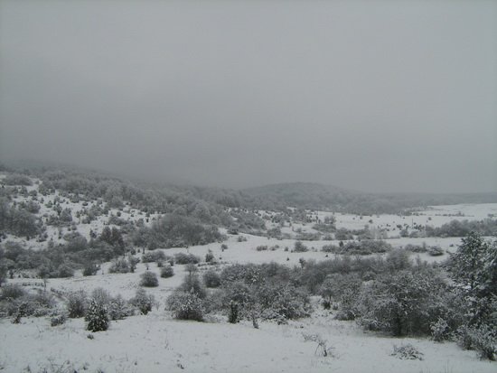 Az első hó 2010 telén az Aggteleki Nemzeti Parkban - Aggtelek